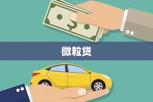 花莲微粒贷
