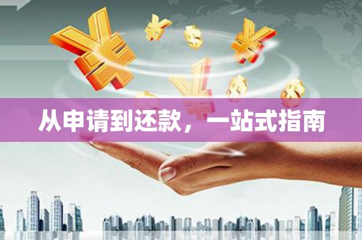 花莲从申请到还款，一站式指南