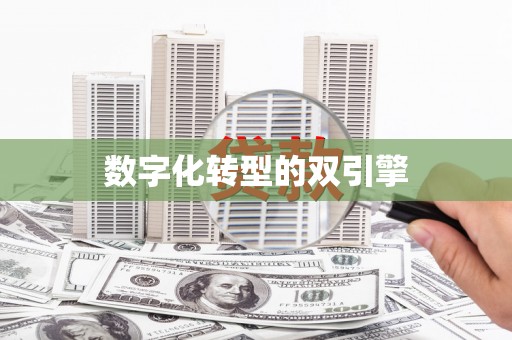 花莲数字化转型的双引擎