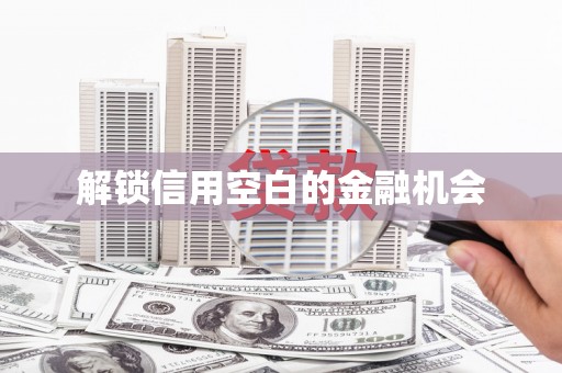 花莲解锁信用空白的金融机会