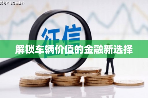 花莲解锁车辆价值的金融新选择