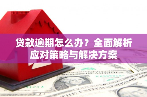 花莲贷款逾期怎么办？全面解析应对策略与解决方案