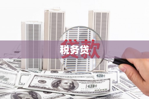 花莲税务贷
