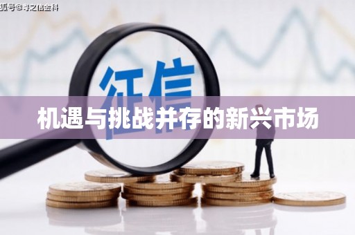 花莲机遇与挑战并存的新兴市场