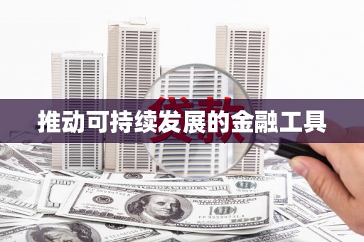 花莲推动可持续发展的金融工具