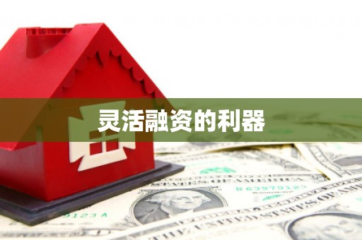 花莲灵活融资的利器