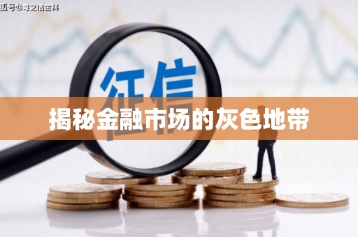 花莲揭秘金融市场的灰色地带