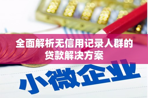 花莲全面解析无信用记录人群的贷款解决方案