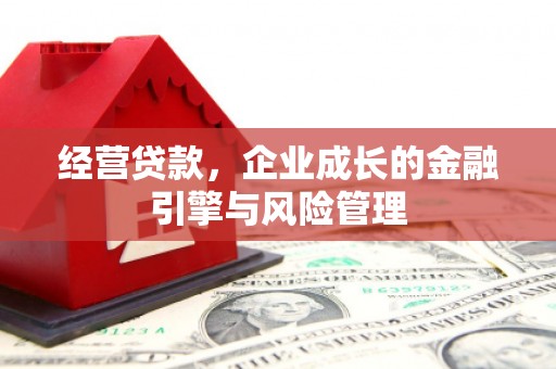 花莲经营贷款，企业成长的金融引擎与风险管理