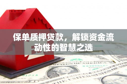 花莲保单质押贷款，解锁资金流动性的智慧之选